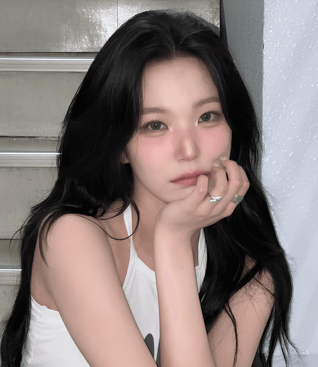 백지헌